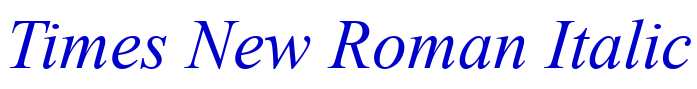 Times New Roman Italic police de caractère